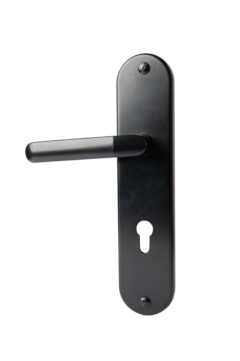 DSC 6412 SMALL Flagman B